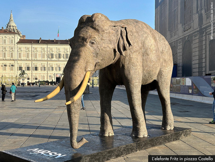 A Torino alla scoperta della natura